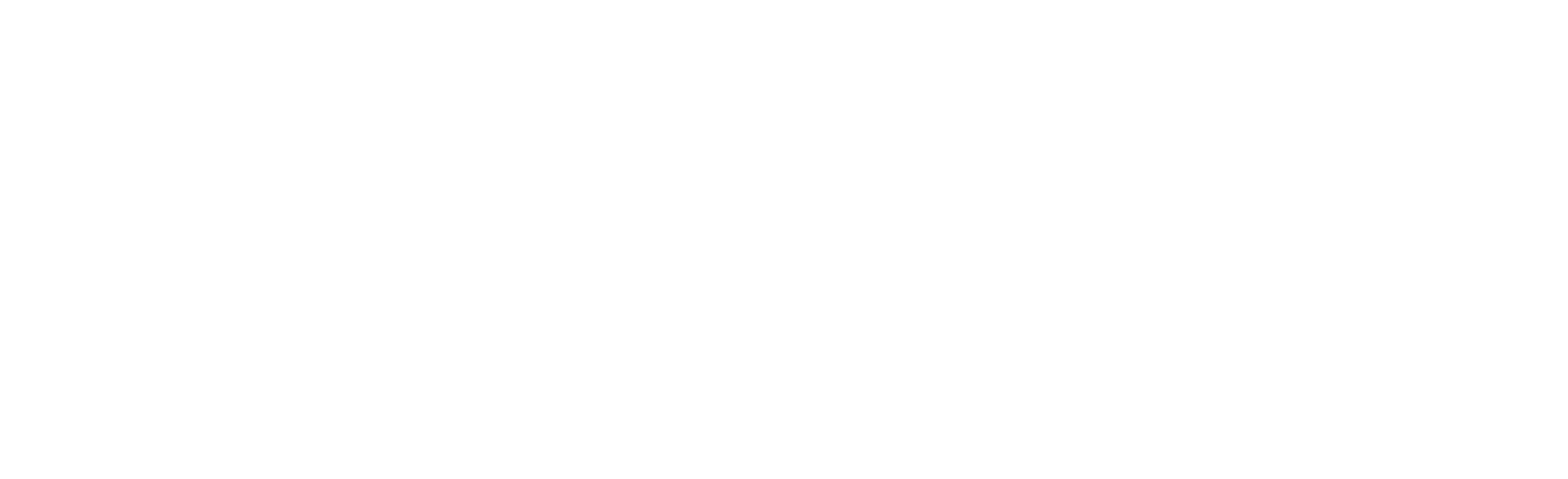 Fachini Forst GmbH